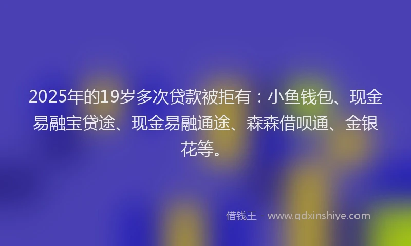 2025年的19岁多次贷款被拒有：小鱼钱包、现金易融宝贷途、现金易融通途、森森借呗通、金银花等。