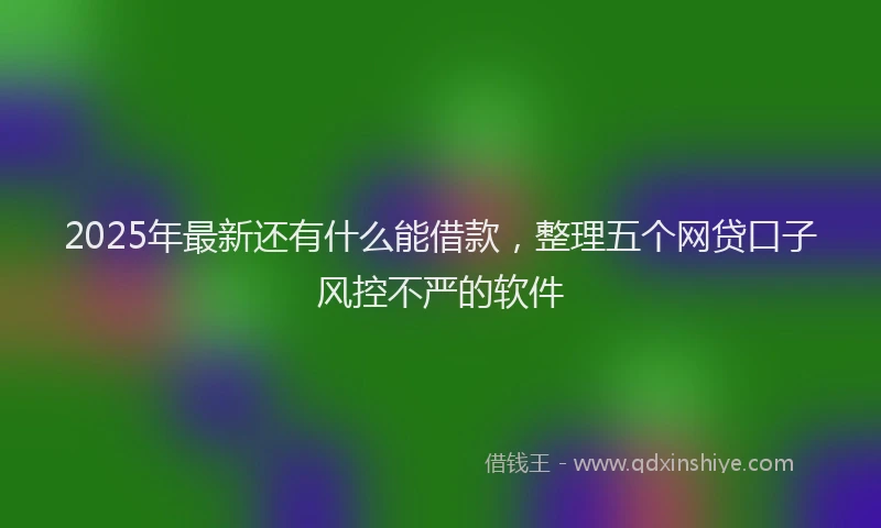 2025年最新还有什么能借款，整理五个网贷口子风控不严的软件