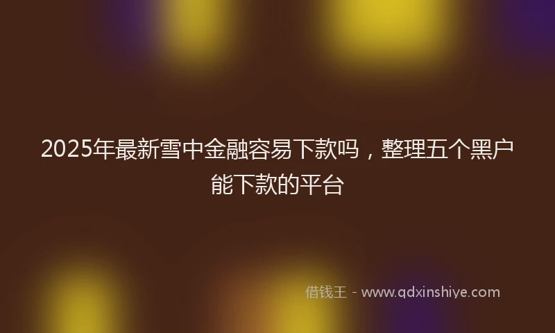 2025年最新雪中金融容易下款吗，整理五个黑户能下款的平台