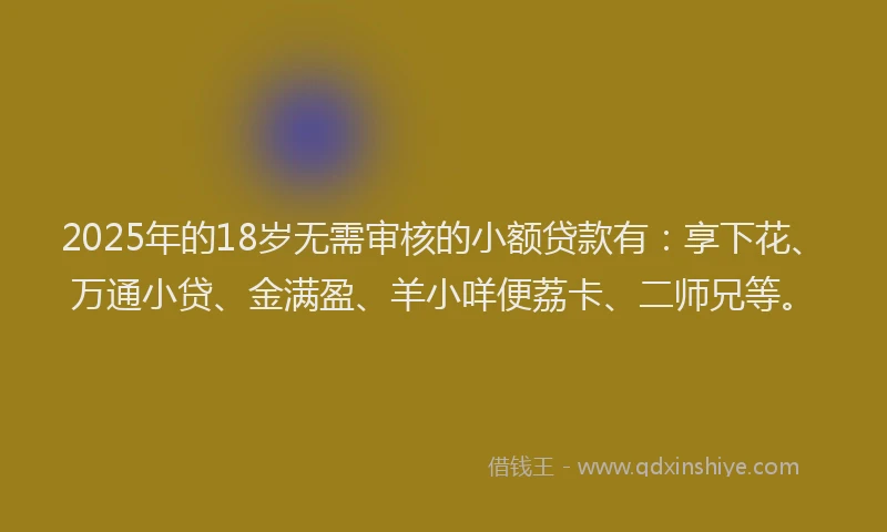 2025年的18岁无需审核的小额贷款有：享下花、万通小贷、金满盈、羊小咩便荔卡、二师兄等。