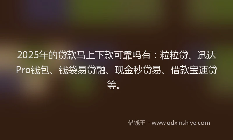 2025年的贷款马上下款可靠吗有：粒粒贷、迅达Pro钱包、钱袋易贷融、现金秒贷易、借款宝速贷等。