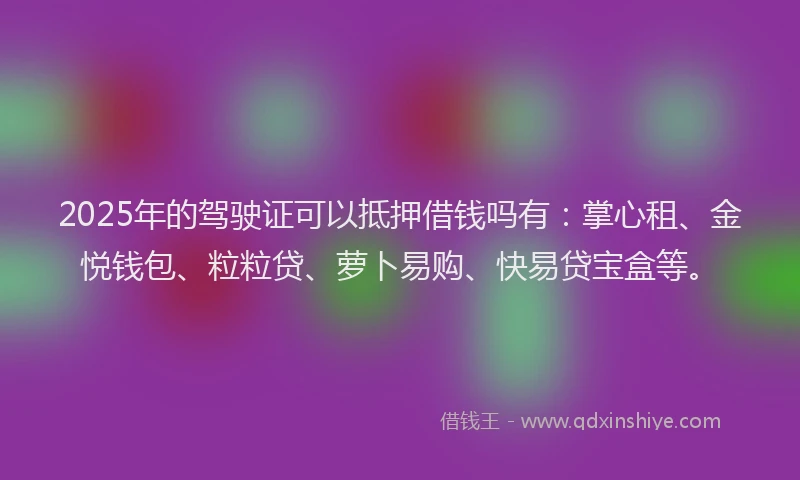 2025年的驾驶证可以抵押借钱吗有：掌心租、金悦钱包、粒粒贷、萝卜易购、快易贷宝盒等。