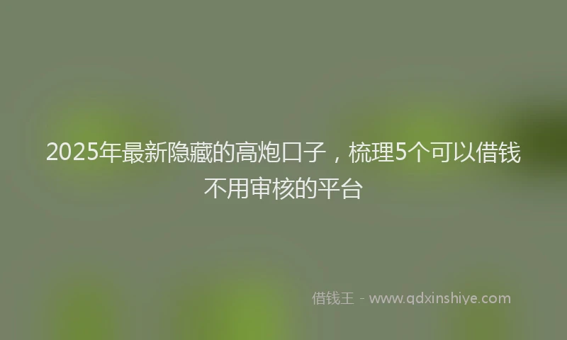 2025年最新隐藏的高炮口子，梳理5个可以借钱不用审核的平台