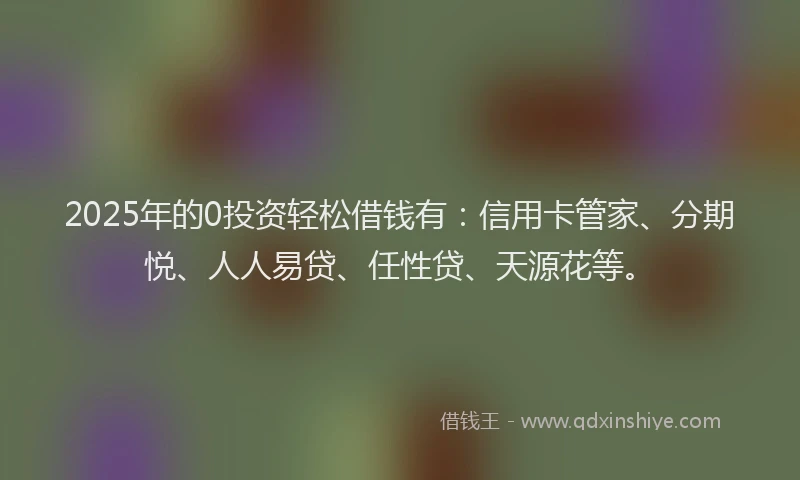 2025年的0投资轻松借钱有：信用卡管家、分期悦、人人易贷、任性贷、天源花等。