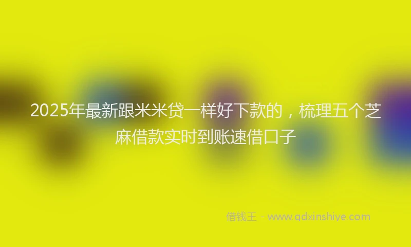 2025年最新跟米米贷一样好下款的，梳理五个芝麻借款实时到账速借口子