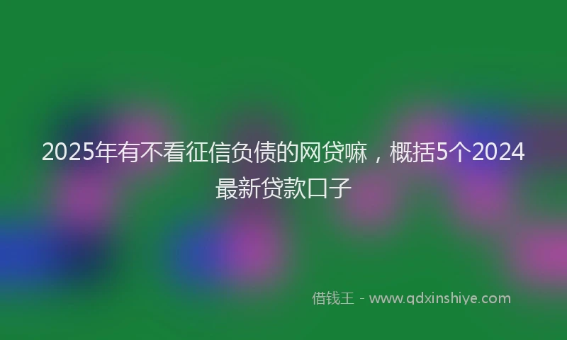 2025年有不看征信负债的网贷嘛，概括5个2024最新贷款口子