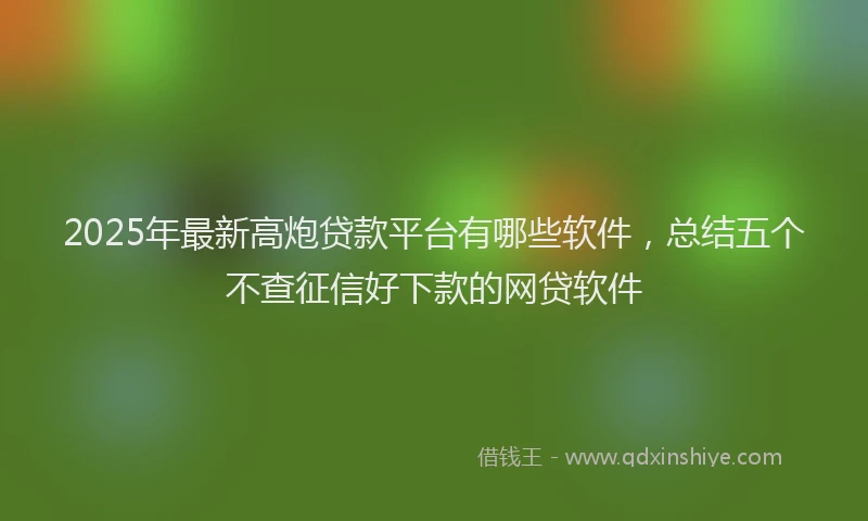 2025年最新高炮贷款平台有哪些软件，总结五个不查征信好下款的网贷软件