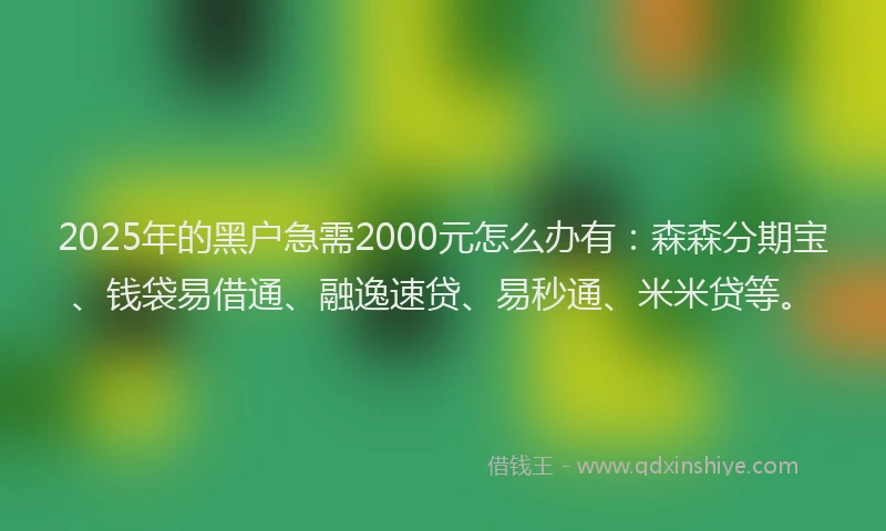 2025年的黑户急需2000元怎么办有：森森分期宝、钱袋易借通、融逸速贷、易秒通、米米贷等。