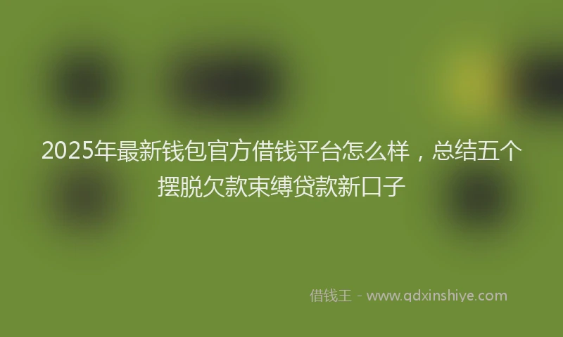 2025年最新钱包官方借钱平台怎么样，总结五个摆脱欠款束缚贷款新口子