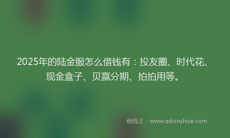 2025年的陆金服怎么借钱有：投友圈、时代花、现金盒子、贝赢分期、拍拍用等。