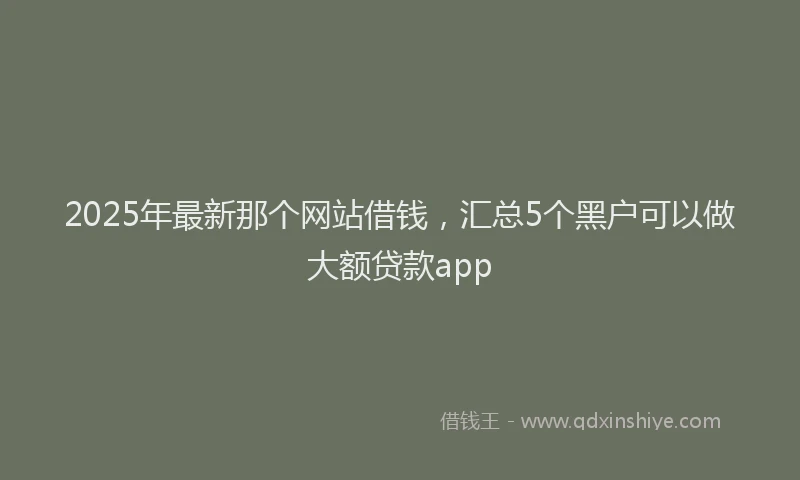 2025年最新那个网站借钱，汇总5个黑户可以做大额贷款app