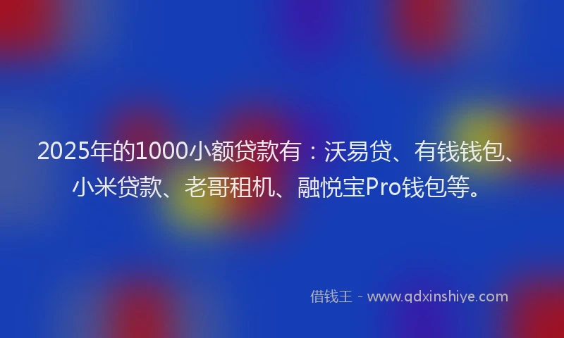 2025年的1000小额贷款有：沃易贷、有钱钱包、小米贷款、老哥租机、融悦宝Pro钱包等。