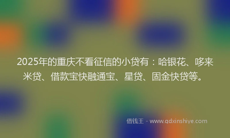 2025年的重庆不看征信的小贷有：哈银花、哆来米贷、借款宝快融通宝、星贷、固金快贷等。