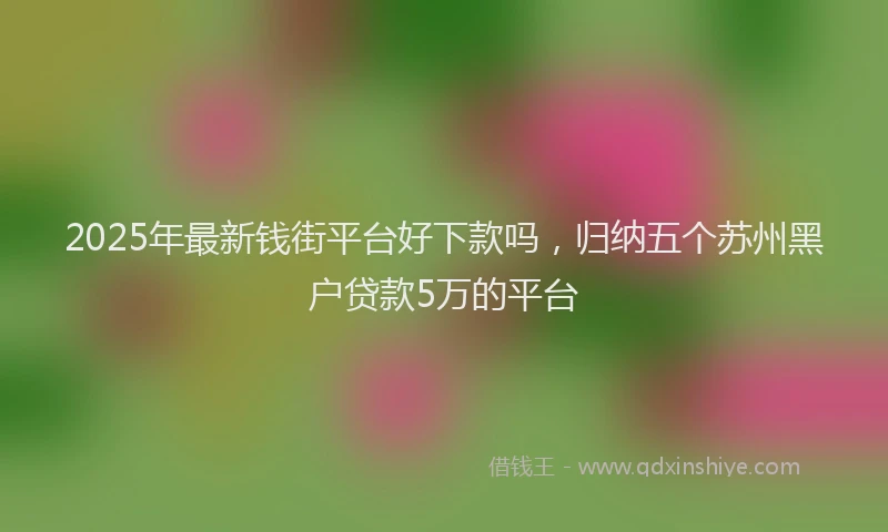 2025年最新钱街平台好下款吗，归纳五个苏州黑户贷款5万的平台