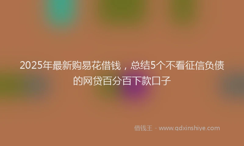 2025年最新购易花借钱，总结5个不看征信负债的网贷百分百下款口子