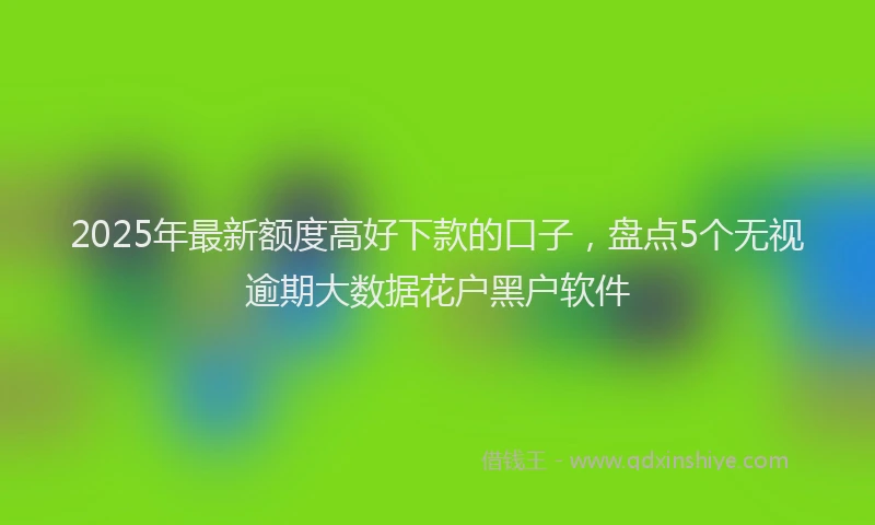 2025年最新额度高好下款的口子，盘点5个无视逾期大数据花户黑户软件