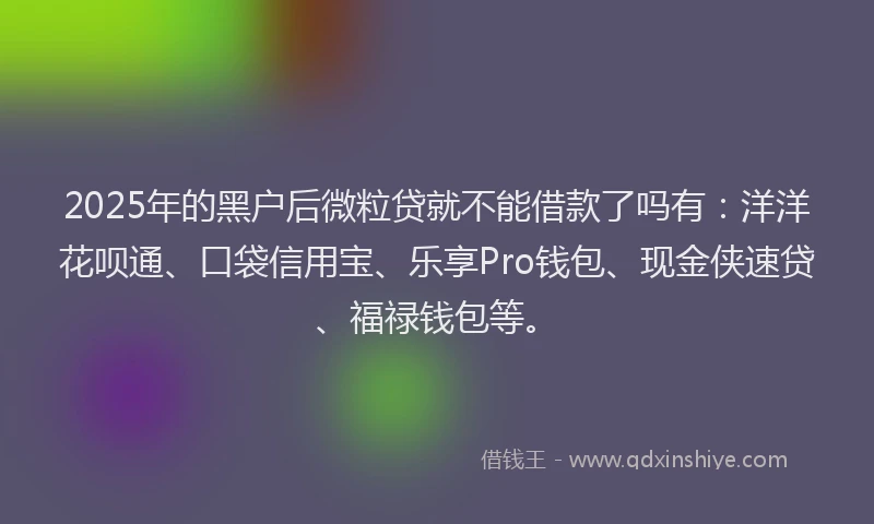 2025年的黑户后微粒贷就不能借款了吗有：洋洋花呗通、口袋信用宝、乐享Pro钱包、现金侠速贷、福禄钱包等。