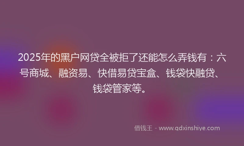 2025年的黑户网贷全被拒了还能怎么弄钱有：六号商城、融资易、快借易贷宝盒、钱袋快融贷、钱袋管家等。