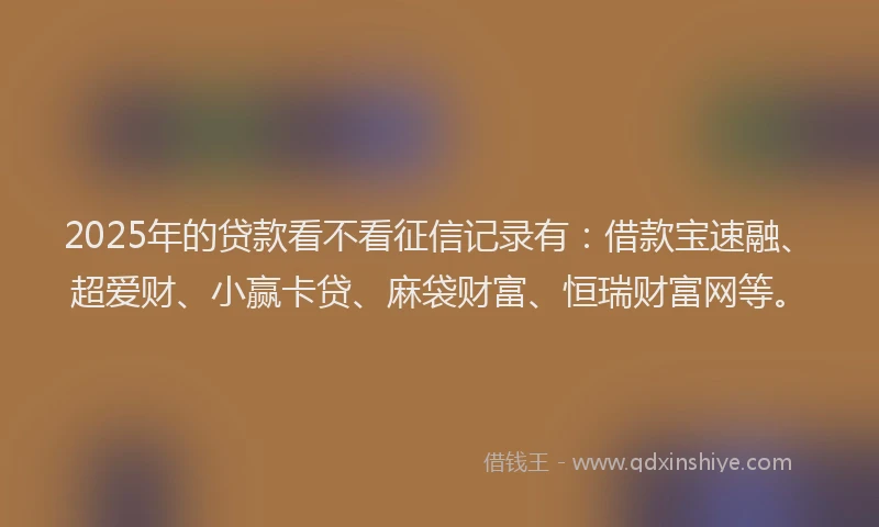 2025年的贷款看不看征信记录有：借款宝速融、超爱财、小赢卡贷、麻袋财富、恒瑞财富网等。