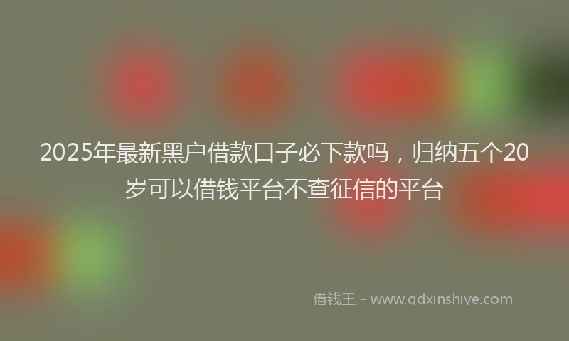 2025年最新黑户借款口子必下款吗，归纳五个20岁可以借钱平台不查征信的平台