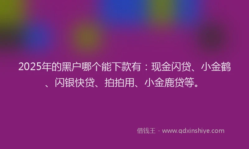 2025年的黑户哪个能下款有：现金闪贷、小金鹤、闪银快贷、拍拍用、小金鹿贷等。