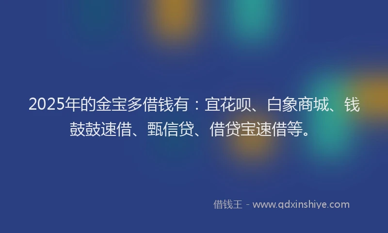 2025年的金宝多借钱有：宜花呗、白象商城、钱鼓鼓速借、甄信贷、借贷宝速借等。