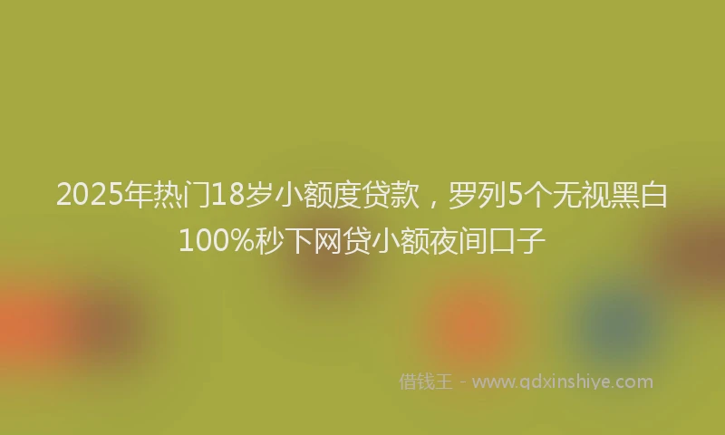 2025年热门18岁小额度贷款，罗列5个无视黑白100%秒下网贷小额夜间口子