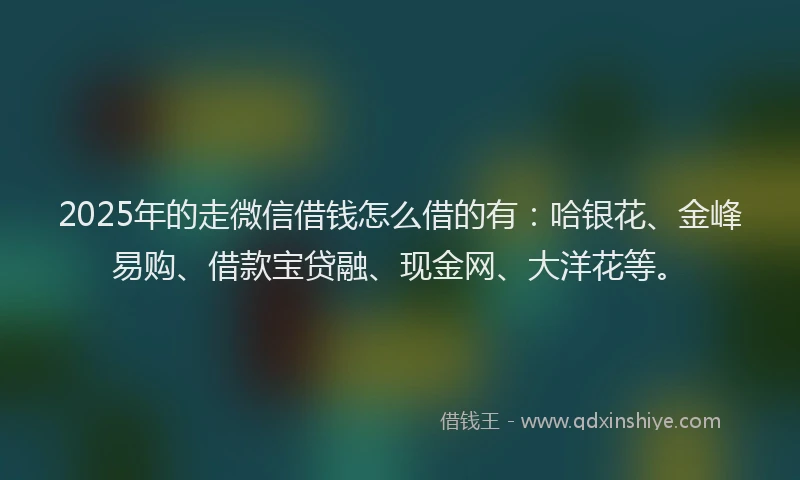 2025年的走微信借钱怎么借的有：哈银花、金峰易购、借款宝贷融、现金网、大洋花等。