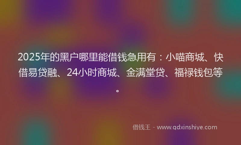 2025年的黑户哪里能借钱急用有：小喵商城、快借易贷融、24小时商城、金满堂贷、福禄钱包等。