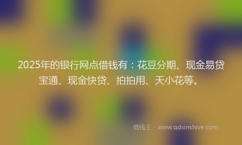 2025年的银行网点借钱有：花豆分期、现金易贷宝通、现金快贷、拍拍用、天小花等。
