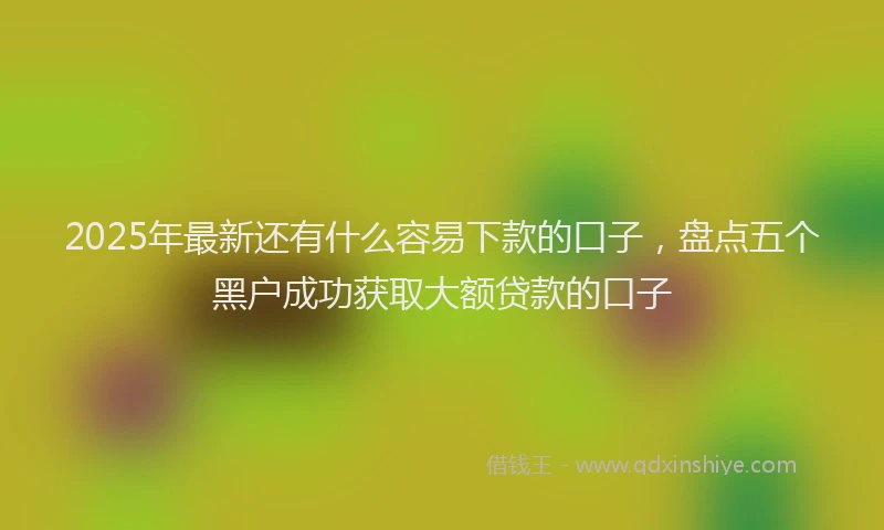 2025年最新还有什么容易下款的口子，盘点五个黑户成功获取大额贷款的口子