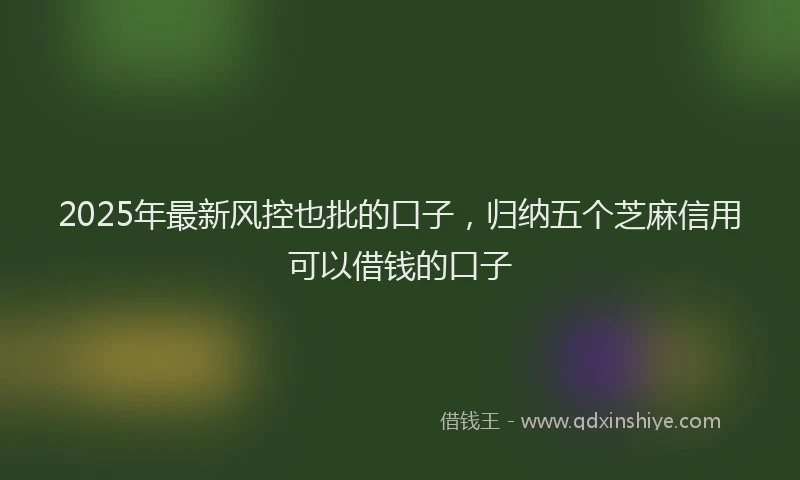 2025年最新风控也批的口子，归纳五个芝麻信用可以借钱的口子