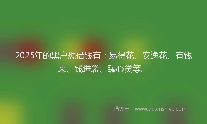 2025年的黑户想借钱有：易得花、安逸花、有钱来、钱进袋、臻心贷等。