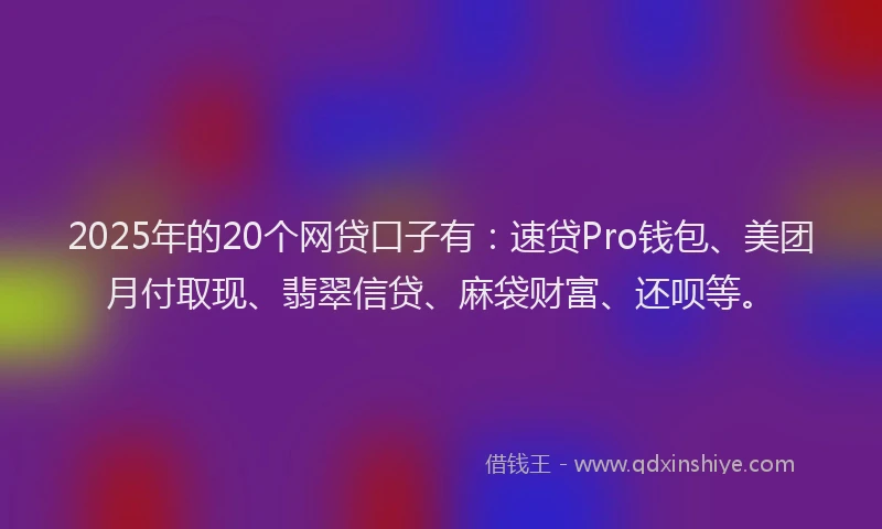 2025年的20个网贷口子有：速贷Pro钱包、美团月付取现、翡翠信贷、麻袋财富、还呗等。