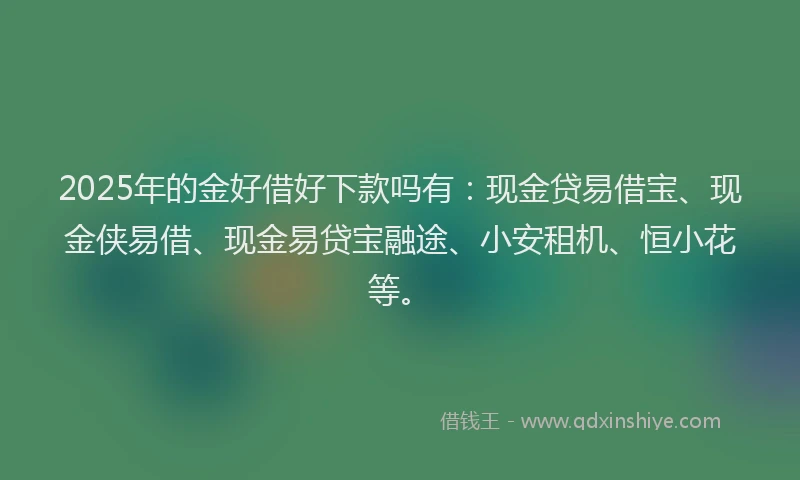 2025年的金好借好下款吗有：现金贷易借宝、现金侠易借、现金易贷宝融途、小安租机、恒小花等。