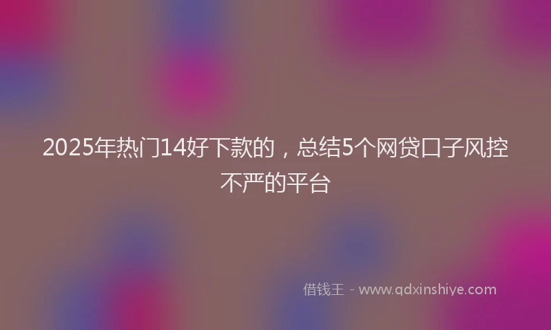 2025年热门14好下款的，总结5个网贷口子风控不严的平台