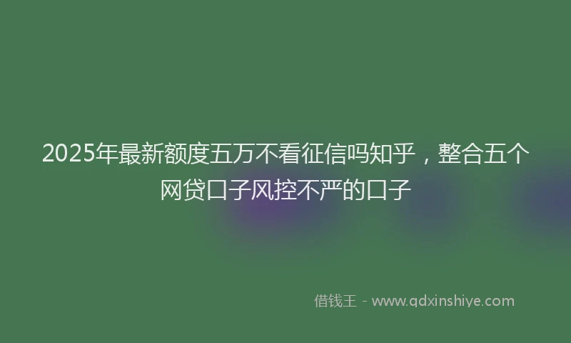 2025年最新额度五万不看征信吗知乎，整合五个网贷口子风控不严的口子