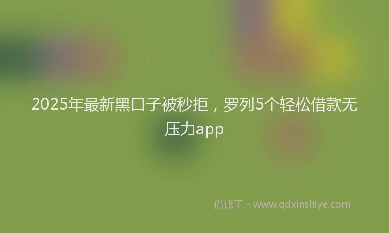 2025年最新黑口子被秒拒，罗列5个轻松借款无压力app