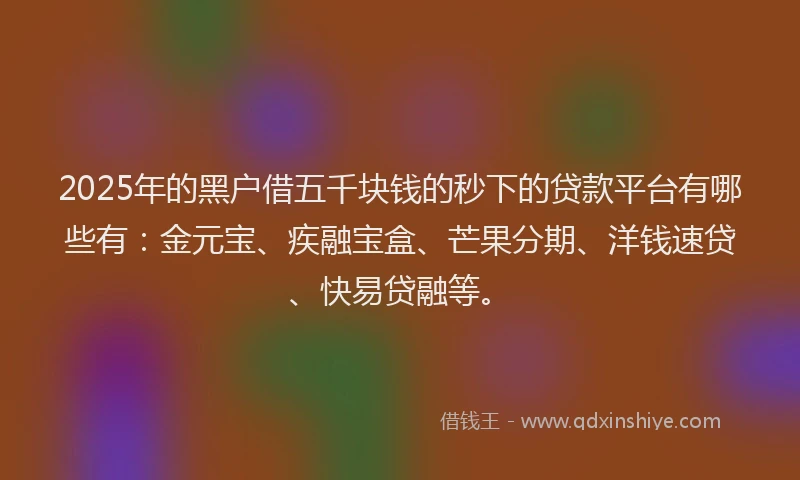 2025年的黑户借五千块钱的秒下的贷款平台有哪些有：金元宝、疾融宝盒、芒果分期、洋钱速贷、快易贷融等。