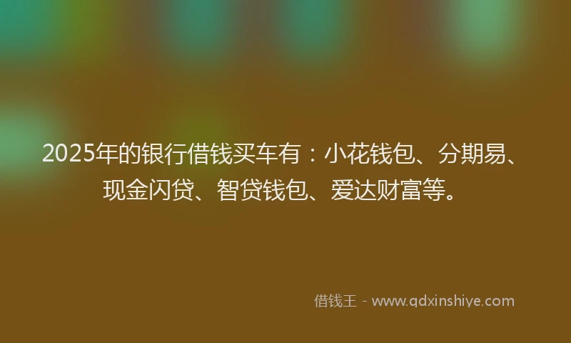 2025年的银行借钱买车有：小花钱包、分期易、现金闪贷、智贷钱包、爱达财富等。