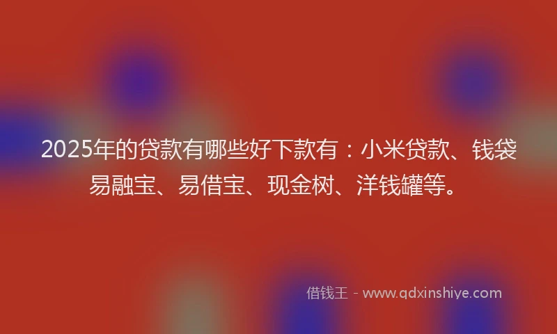 2025年的贷款有哪些好下款有：小米贷款、钱袋易融宝、易借宝、现金树、洋钱罐等。