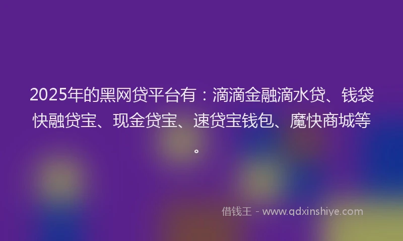 2025年的黑网贷平台有：滴滴金融滴水贷、钱袋快融贷宝、现金贷宝、速贷宝钱包、魔快商城等。