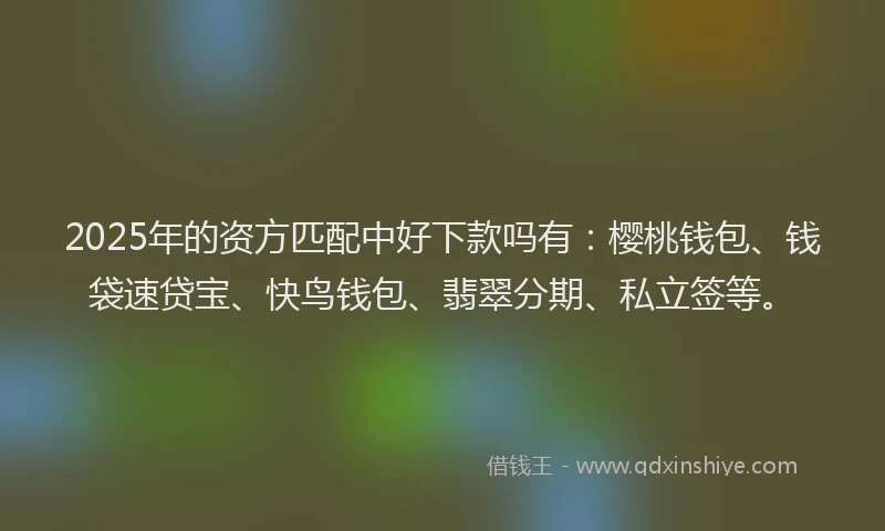 2025年的资方匹配中好下款吗有：樱桃钱包、钱袋速贷宝、快鸟钱包、翡翠分期、私立签等。