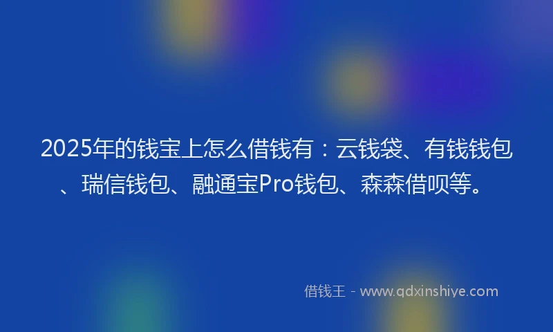 2025年的钱宝上怎么借钱有：云钱袋、有钱钱包、瑞信钱包、融通宝Pro钱包、森森借呗等。