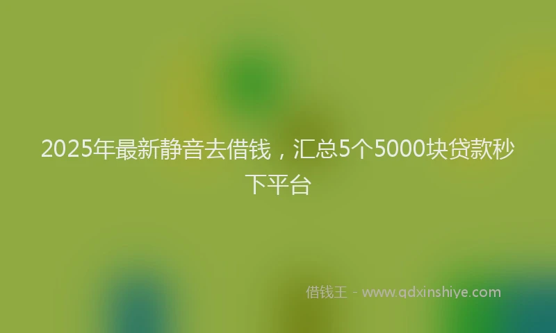 2025年最新静音去借钱，汇总5个5000块贷款秒下平台