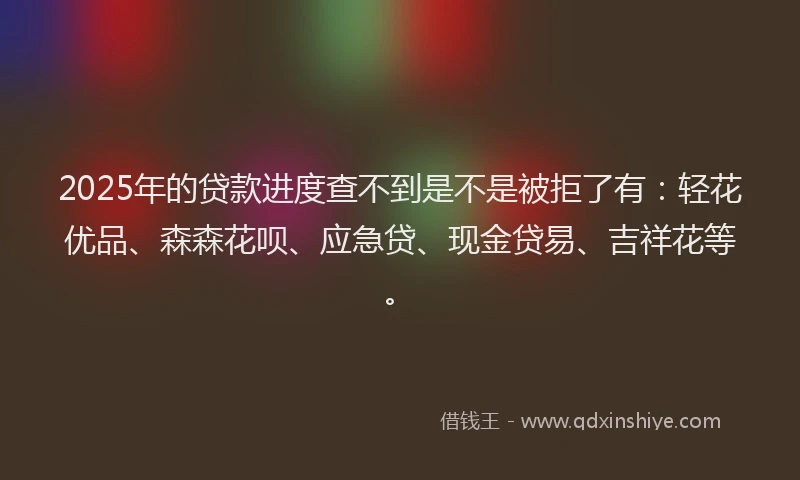 2025年的贷款进度查不到是不是被拒了有：轻花优品、森森花呗、应急贷、现金贷易、吉祥花等。
