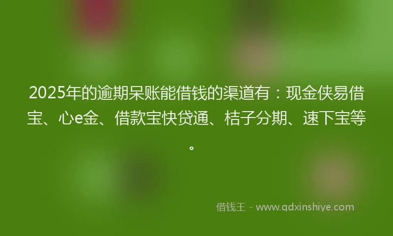 2025年的逾期呆账能借钱的渠道有：现金侠易借宝、心e金、借款宝快贷通、桔子分期、速下宝等。