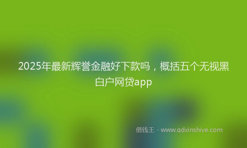 2025年最新辉誉金融好下款吗，概括五个无视黑白户网贷app