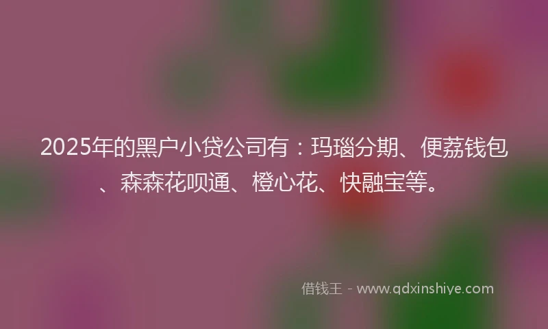 2025年的黑户小贷公司有：玛瑙分期、便荔钱包、森森花呗通、橙心花、快融宝等。