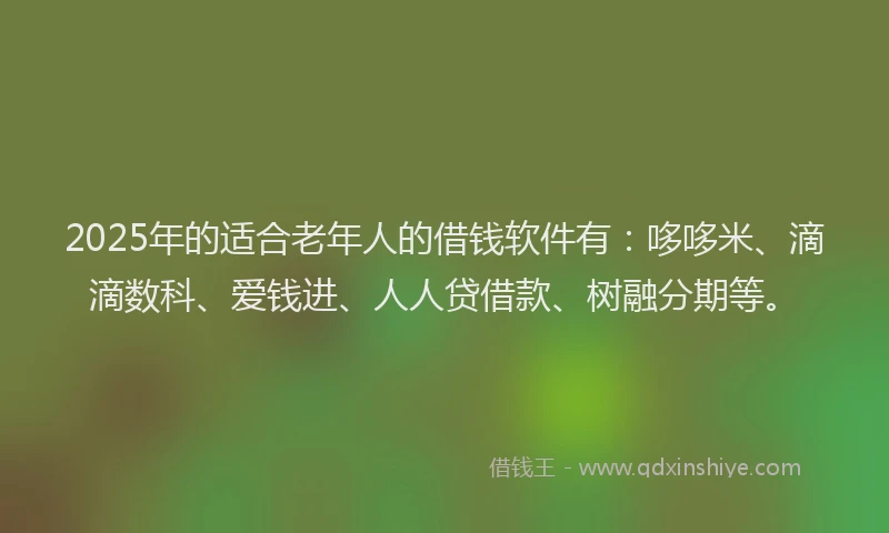 2025年的适合老年人的借钱软件有：哆哆米、滴滴数科、爱钱进、人人贷借款、树融分期等。